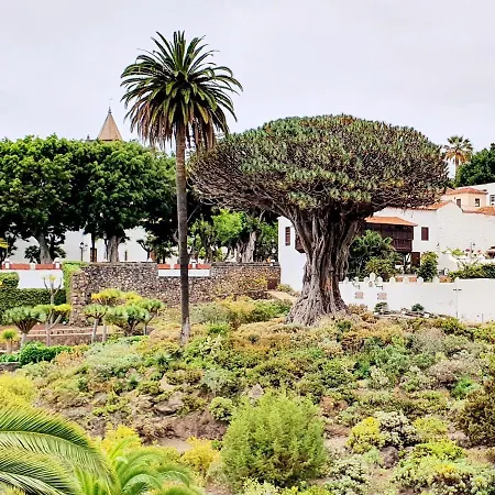 Luis Estudio Adeje Tenerife Sur By Hrtenerife Net