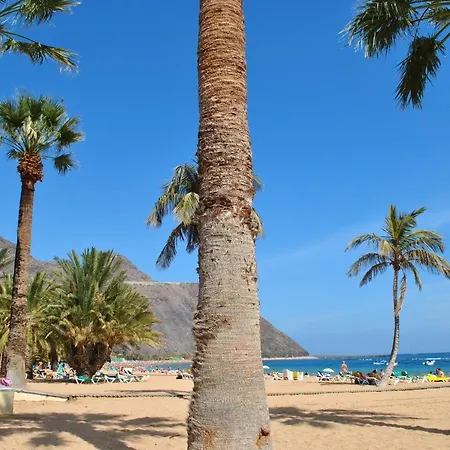 Luis Estudio Adeje Tenerife Sur By Hrtenerife Net Appartement *